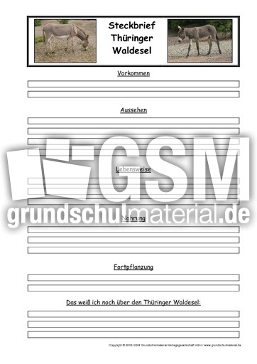 Steckbriefvorlage-Thüringer Waldesel.pdf